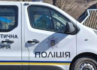 В Одесской области мужчина выстрелил в собаку со щенками: что известно