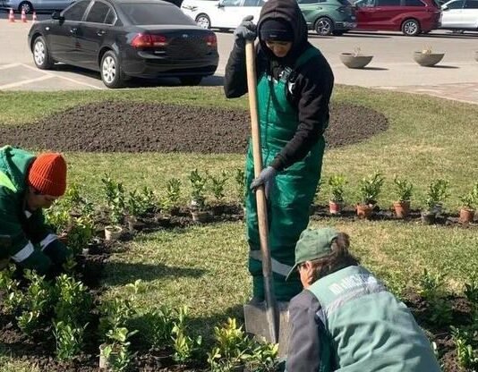 Одессу массово озеленяют: тысячи новых кустов высадили в центре города, — ФОТО