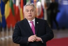 Решение за молодежью: социологи оценили шансы Орбана за две недели до выборов