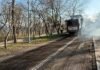 В Одессе началось масштабное озеленение побережья, – ФОТО