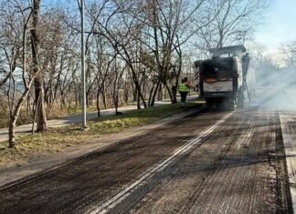 В Одессе началось масштабное озеленение побережья, – ФОТО