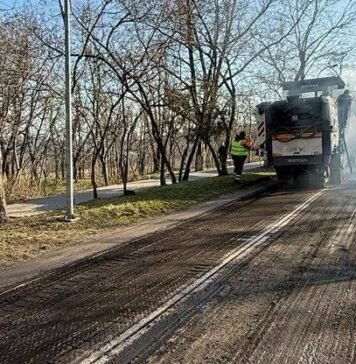 В Одессе началось масштабное озеленение побережья, – ФОТО