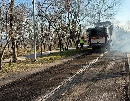 В Одессе началось масштабное озеленение побережья, – ФОТО