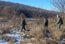 В Одесской области при отстреле лис и шакалов зафиксировали нарушения