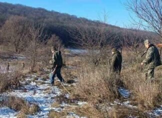 В Одесской области при отстреле лис и шакалов зафиксировали нарушения