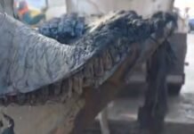 Матрас, подгузники и бампер авто: находящиеся в канализации Одессы