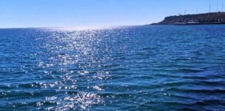 В Одессе проверили морскую воду на нефтепродукты: что показали результаты