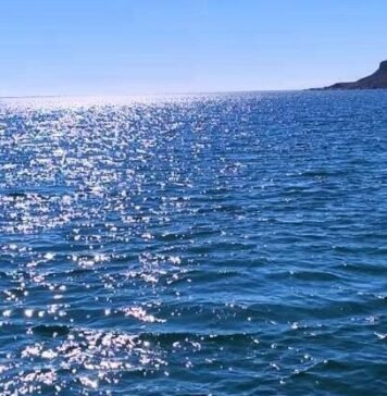 В Одессе проверили морскую воду на нефтепродукты: что показали результаты