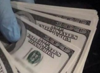 В Одесской области задержали иностранцев, продававших фальшивые доллары