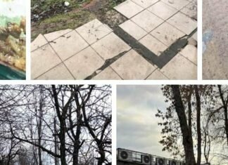 Жалоба сработала: вдоль Одесского шоссе убрали мусор