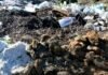 В Одесской области убрали три стихийные свалки после вмешательства экоинспекции