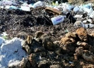 В Одесской области убрали три стихийные свалки после вмешательства экоинспекции