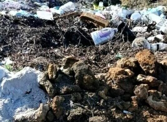 В Одесской области убрали три стихийные свалки после вмешательства экоинспекции