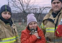 В Одесской области спасли щенка из ловушки: малыш упал в глубокую яму