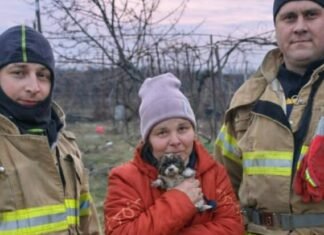 В Одесской области спасли щенка из ловушки: малыш упал в глубокую яму