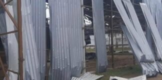 Дроны ударили по югу Одесщины: повреждены ферма и ангары