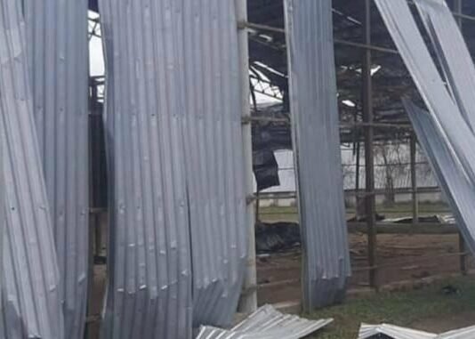 Дроны ударили по югу Одесщины: повреждены ферма и ангары