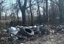 Трассу в Одессу превратили в помойку, — ФОТО