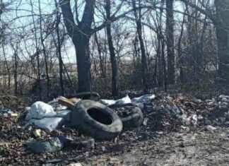 Трассу в Одессу превратили в помойку, — ФОТО
