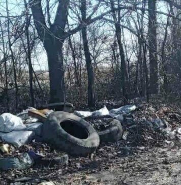 Трассу в Одессу превратили в помойку, — ФОТО