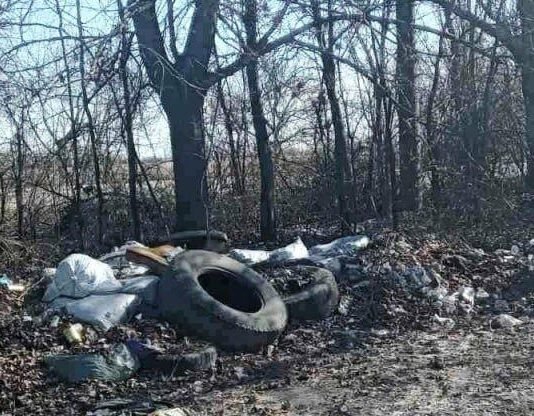 Трассу в Одессу превратили в помойку, — ФОТО
