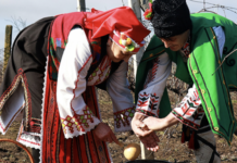 Как в Одесской области возродили праздник виноградарей: история Трифона Зарезана, — ФОТО