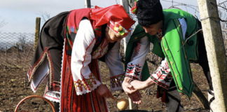 Как в Одесской области возродили праздник виноградарей: история Трифона Зарезана, — ФОТО