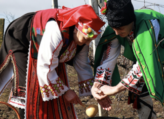 Как в Одесской области возродили праздник виноградарей: история Трифона Зарезана, — ФОТО