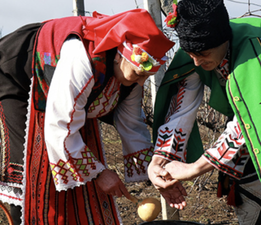 Как в Одесской области возродили праздник виноградарей: история Трифона Зарезана, — ФОТО