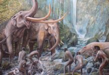 Выжили и адаптировались: ученые обнаружили ранее неизвестный человеческий род в Северо-Восточной Азии (фото)