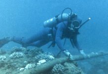 «Цифровая катастрофа» для мирового интернета: Иран угрожает повредить кабели в Ормузском проливе