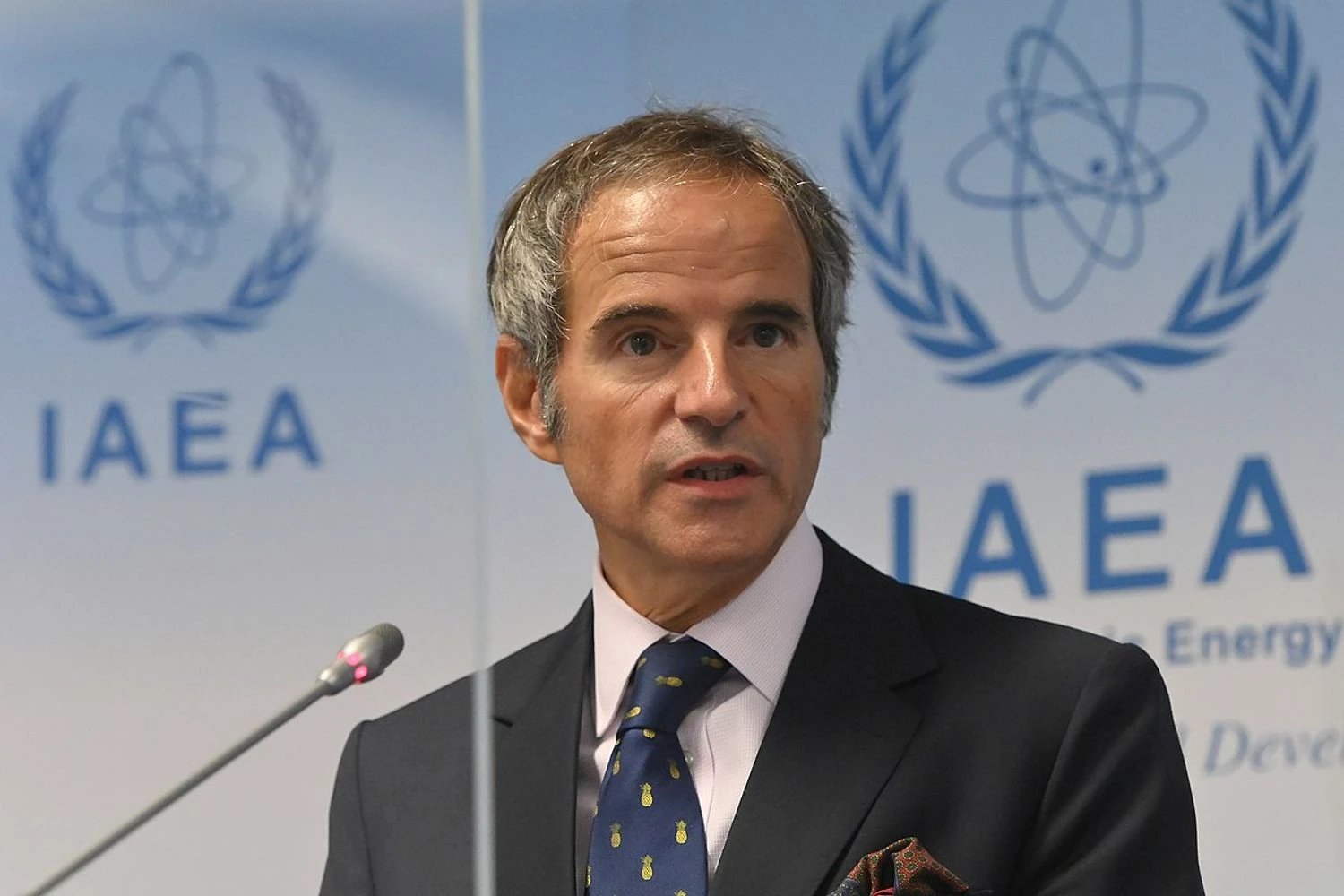 Гендиректор МАГАТЭ передал Украине уникальную методологию функционирования АЭС во время войны