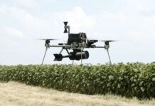 Новые немецко-украинские беспилотники Linza уже готовы для передачи ВСУ