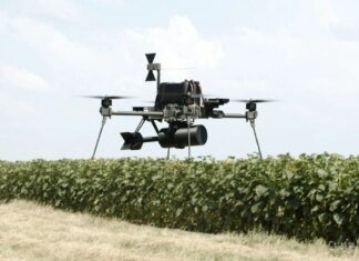 Новые немецко-украинские беспилотники Linza уже готовы для передачи ВСУ