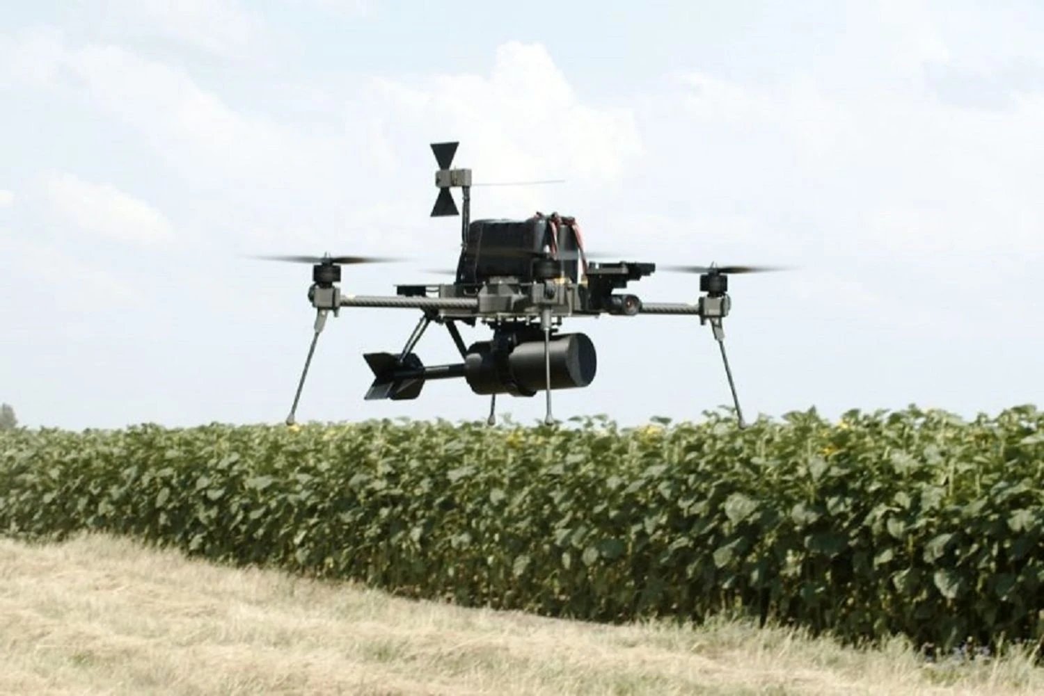 Новые немецко-украинские беспилотники Linza уже готовы для передачи ВСУ