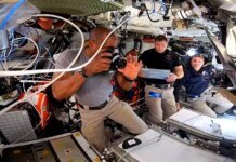 "Уже ближе к Луне, чем к Земле": экипаж Artemis II показал эпические фото из космоса