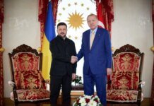 Зеленский и Эрдоган обсудили возможность совместной разработки газовых месторождений