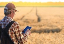 Правительство усилило поддержку фермеров на прифронтовых территориях