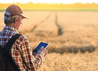 Правительство усилило поддержку фермеров на прифронтовых территориях