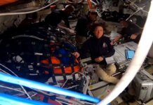 Астронавты миссии Artemis II отдалились от Земли на максимальное расстояние в истории человечества