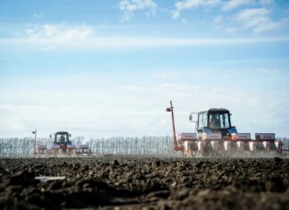 Водителям категорий С и D на фоне посевной упростили доступ к работе на агротехнике