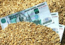 россия резко сокращает финансирование АПК из-за дефицита бюджета — разведка