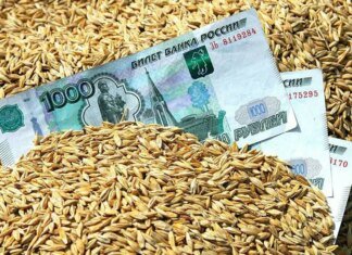 россия резко сокращает финансирование АПК из-за дефицита бюджета — разведка