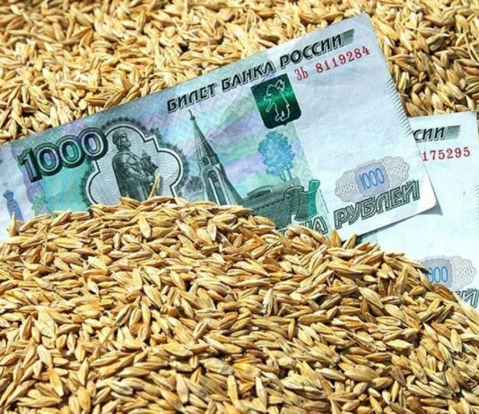 россия резко сокращает финансирование АПК из-за дефицита бюджета — разведка