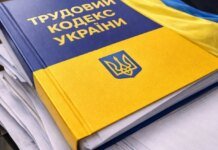 Реформа Трудового кодекса невозможна без публичного диалога между властью, работодателями и работниками – эксперт