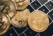 В ЕС призвали к наращиванию привязанных к евро стейблкоинов на фоне доминирования США