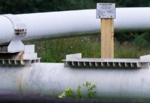 "Дружба" восстановлена — эксперт объяснил, почему Венгрия и Словакия не отказываются от российской нефти