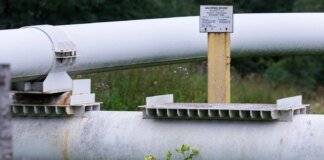 "Дружба" восстановлена — эксперт объяснил, почему Венгрия и Словакия не отказываются от российской нефти