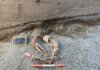 В Помпеях впервые реконструировали лицо погибшего при извержении Везувия с помощью ИИ