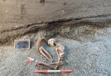 В Помпеях впервые реконструировали лицо погибшего при извержении Везувия с помощью ИИ